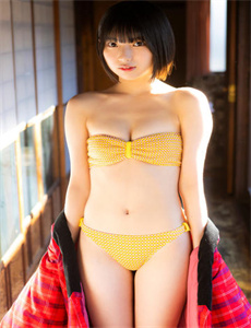 征服1453