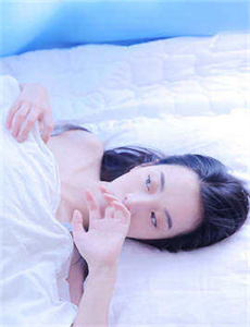青蜂侠2011